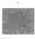 Fig. 10 - TRANSPARENT CONDUCTIVE OXIDES HAVING A NANOSTRUCTURED SURFACE AND USES THEREOF