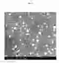 Fig. 16 - TRANSPARENT CONDUCTIVE OXIDES HAVING A NANOSTRUCTURED SURFACE AND USES THEREOF