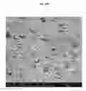 Fig. 19 - TRANSPARENT CONDUCTIVE OXIDES HAVING A NANOSTRUCTURED SURFACE AND USES THEREOF