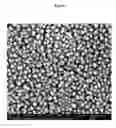 Fig. 22 - TRANSPARENT CONDUCTIVE OXIDES HAVING A NANOSTRUCTURED SURFACE AND USES THEREOF