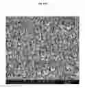 Fig. 25 - TRANSPARENT CONDUCTIVE OXIDES HAVING A NANOSTRUCTURED SURFACE AND USES THEREOF