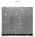 Fig. 26 - TRANSPARENT CONDUCTIVE OXIDES HAVING A NANOSTRUCTURED SURFACE AND USES THEREOF