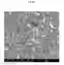 Fig. 28 - TRANSPARENT CONDUCTIVE OXIDES HAVING A NANOSTRUCTURED SURFACE AND USES THEREOF
