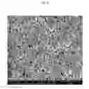 Fig. 30 - TRANSPARENT CONDUCTIVE OXIDES HAVING A NANOSTRUCTURED SURFACE AND USES THEREOF