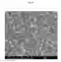 Fig. 33 - TRANSPARENT CONDUCTIVE OXIDES HAVING A NANOSTRUCTURED SURFACE AND USES THEREOF