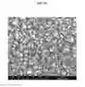 Fig. 41 - TRANSPARENT CONDUCTIVE OXIDES HAVING A NANOSTRUCTURED SURFACE AND USES THEREOF