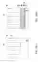 Fig. 19 - Vertical channel transistor array and manufacturing method thereof