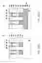 Fig. 22 - Vertical channel transistor array and manufacturing method thereof