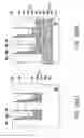 Fig. 40 - Vertical channel transistor array and manufacturing method thereof