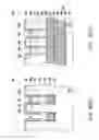 Fig. 45 - Vertical channel transistor array and manufacturing method thereof