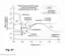 Fig. 64 - Fabrication of semiconductor architecture having field-effect transistors especially suitable for analog applications