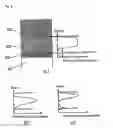 Fig. 04 - Semiconductor device and its manufacturing method