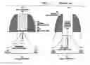 Fig. 02 - Semiconductor wafer having W-shaped dummy metal filling section within monitor region