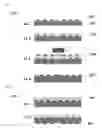 Fig. 02 - METHOD OF PREPARING SEMICONDUCTOR PACKAGE AND SEMICONDUCTOR DIE FOR SEMICONDUCTOR PACKAGE