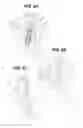 Fig. 07 - Sheet detecting apparatus and image forming apparatus
