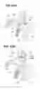 Fig. 27 - Sheet detecting apparatus and image forming apparatus