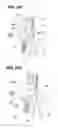 Fig. 32 - Sheet detecting apparatus and image forming apparatus
