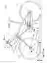 Fig. 02 - CYCLE HAVING AN ARM DRIVE AND A LEG DRIVE