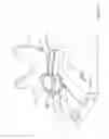 Fig. 09 - Width adjuster for motorcycle stand
