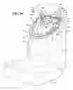 Fig. 24 - Seat back headrest