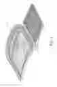Fig. 06 - Foldable leg support