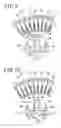 Fig. 07 - Stator for electric rotating machine and method of manufacturing the same