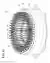 Fig. 09 - Stator for electric rotating machine and method of manufacturing the same
