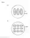 Fig. 09 - Piezoelectric resonator and elastic wave device