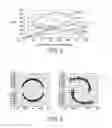 Fig. 03 - High frequency helical amplifier and oscillator