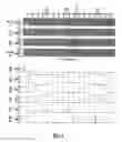 Fig. 04 - Seamless coarse and fine delay structure for high performance DLL