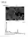 Fig. 09 - Permanent magnet and manufacturing method thereof