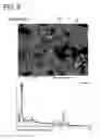 Fig. 09 - Permanent magnet and manufacturing method thereof