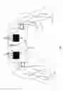 Fig. 02 - HEAD-MOUNTED DISPLAY CONTROL WITH SENSORY STIMULATION