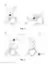 Fig. 05 - Spheroidal pivot for an electronic device