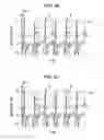 Fig. 19 - METHOD, HEAD, AND APPARATUS FOR EJECTING LIQUID