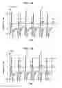 Fig. 22 - METHOD, HEAD, AND APPARATUS FOR EJECTING LIQUID
