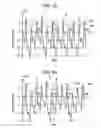 Fig. 33 - METHOD, HEAD, AND APPARATUS FOR EJECTING LIQUID