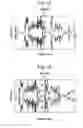 Fig. 09 - Piezoelectric element, liquid ejecting head, and liquid ejecting apparatus