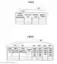 Fig. 04 - Audio-visual terminal, viewing authentication system and control program