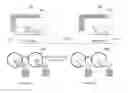 Fig. 01 - Multi View and Stereoscopic Image Display