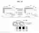 Fig. 19 - Multi View and Stereoscopic Image Display