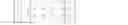 Fig. 17 - Interpolation