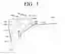 Fig. 04 - BACK LIGHT UNIT AND LIQUID CRYSTAL DISPLAY HAVING THE SAME