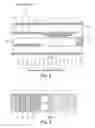 Fig. 03 - Active matrix type liquid crystal display device and manufacturing process for the same