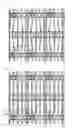 Fig. 09 - LIQUID CRYSTAL DISPLAY DEVICE