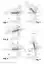 Fig. 02 - Spectacles Comprising Elastically Articulated Arms