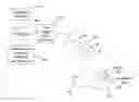 Fig. 01 - System and method of scan controlled illumination of structures within an eye