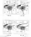 Fig. 02 - System and method of scan controlled illumination of structures within an eye
