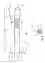 Fig. 02 - In-line flow meter