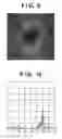 Fig. 06 - Image processing apparatus and method for quantizing pixel of interest by error diffusion method